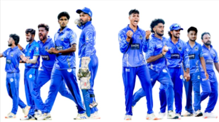 Kochi Blue Tigers